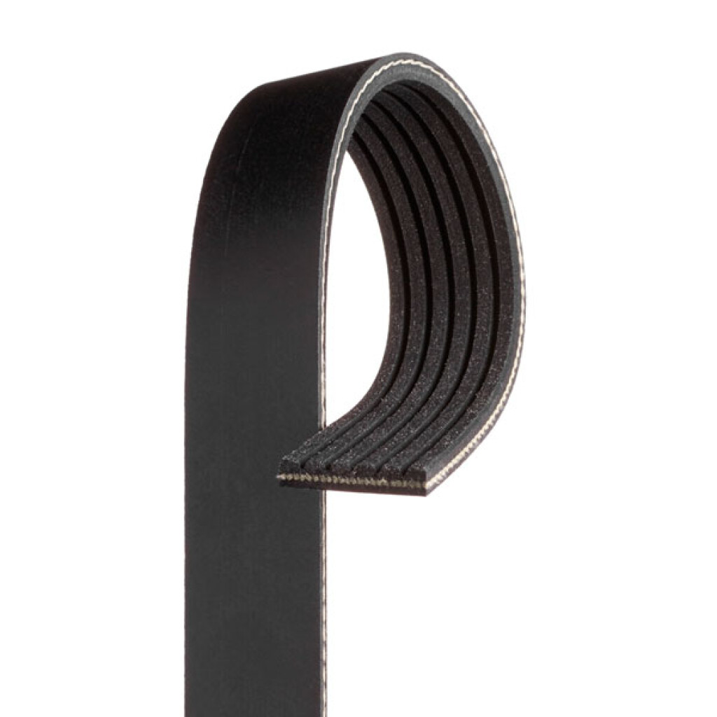 Correa de accesorios