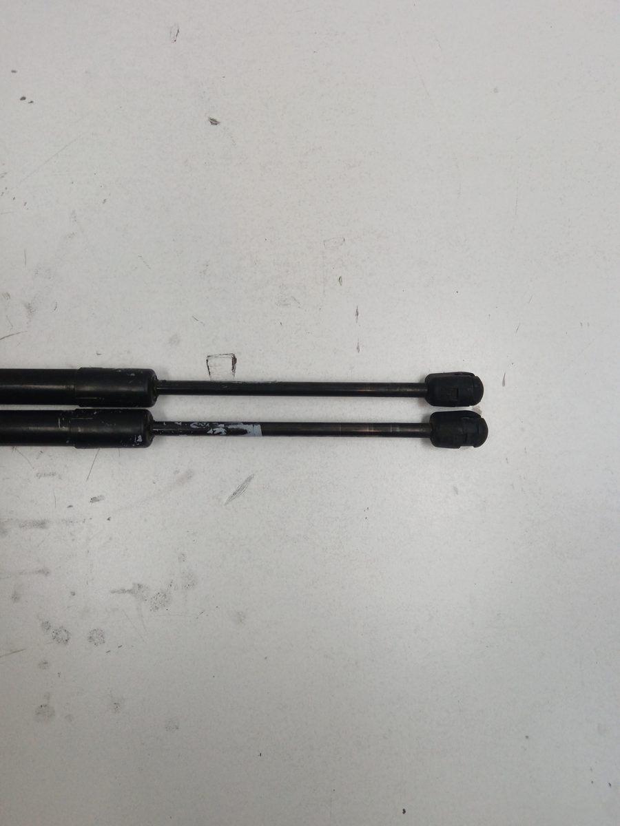Amortiguadores Maletero / Porton Renault Scenic (JA..) 1999-2003 Authentique