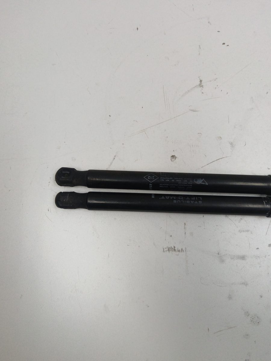 Amortiguadores Maletero / Porton Renault Scenic (JA..) 1999-2003 Authentique