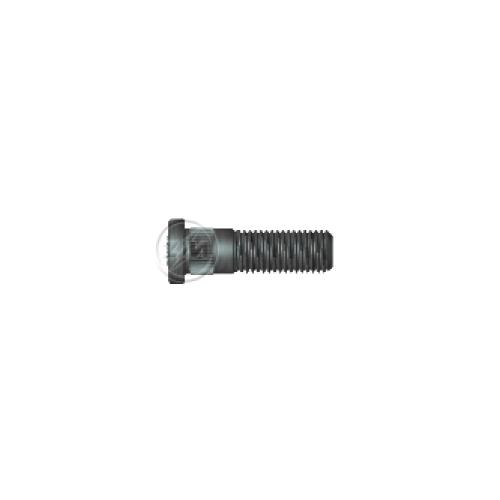 Tornillo de rueda delantero