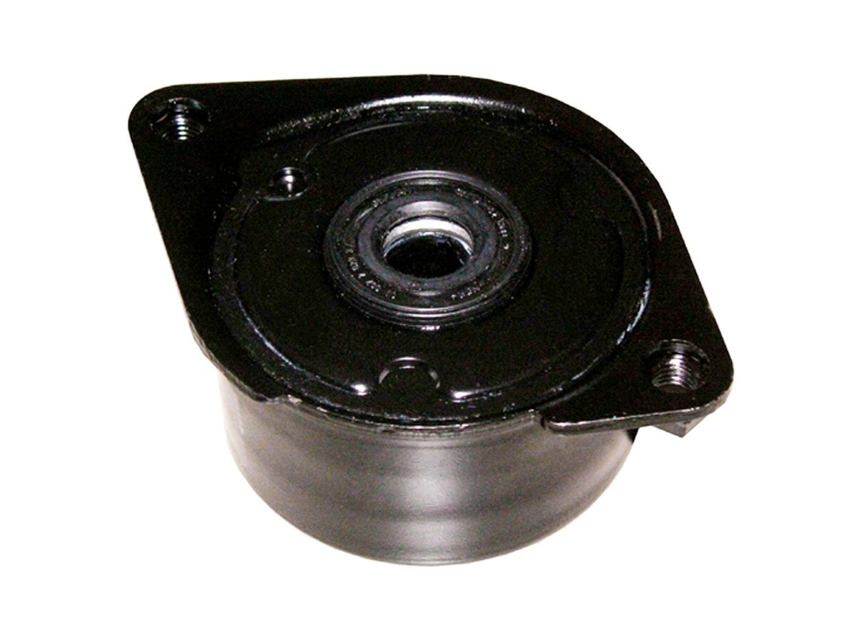 Tensor De La Correa BMW X5 D (E53)/330Xd (E46)/530D (E39) Land Rover Freelander 99-25