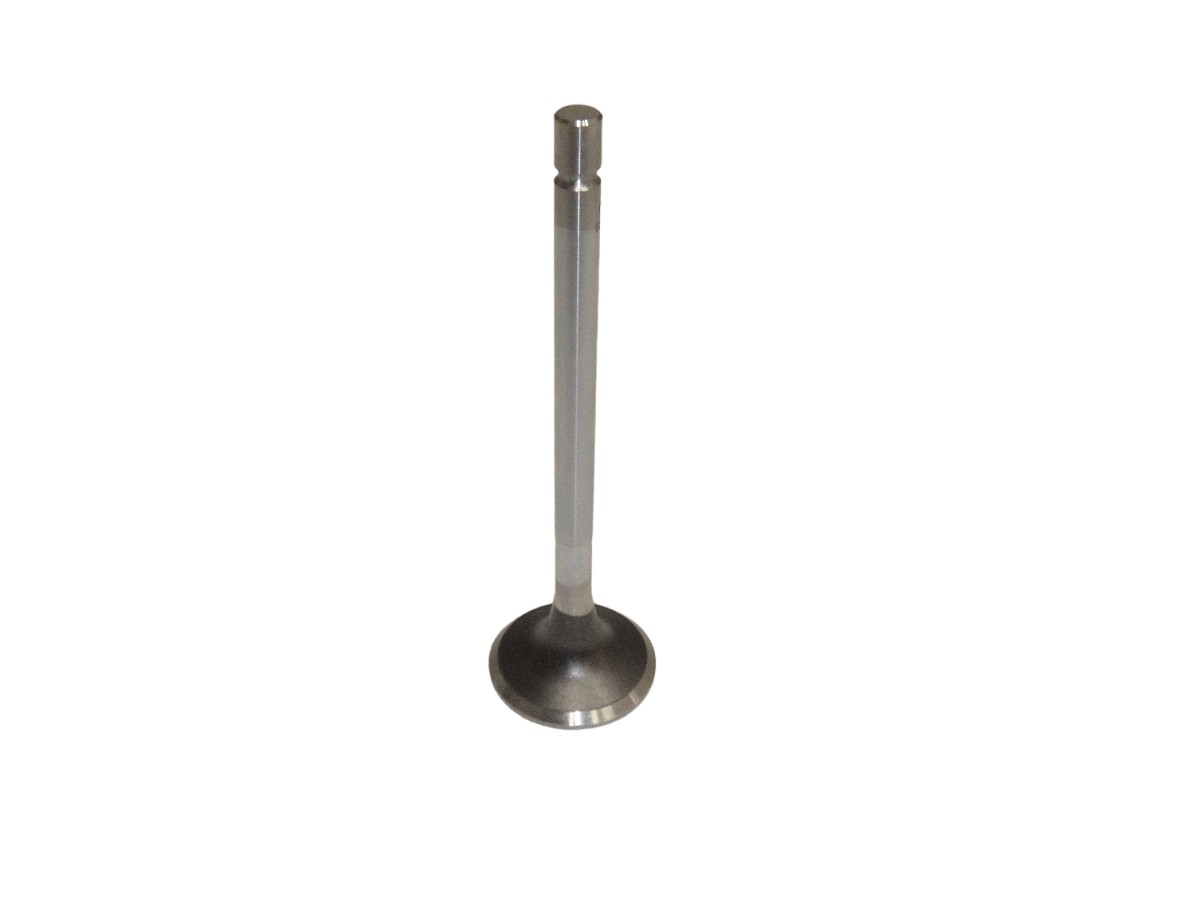 VALVULA ESC*IS 4HK1T/6HK1T