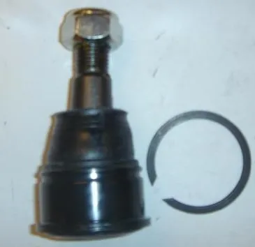 Rótula inferior