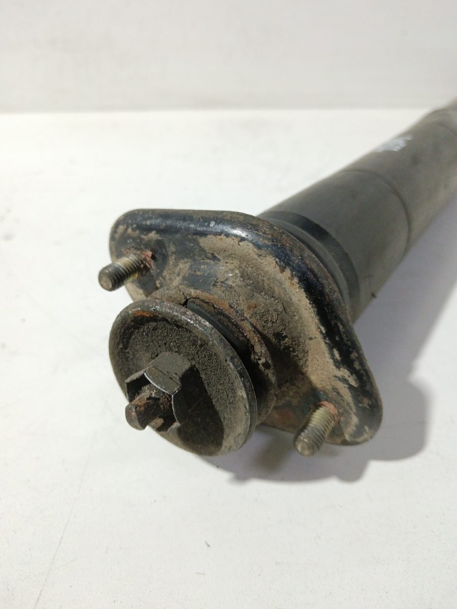 Amortiguador Trasero Der/Izq BMW Serie 3 Berlina (E36) 1990-1998 2.0 24V 541700124391