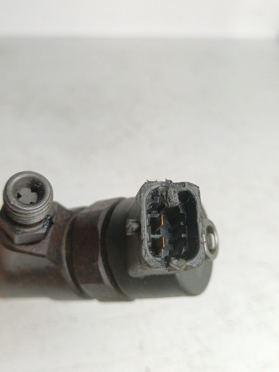 Inyector Peugeot Expert Kasten 2007-2016 Furgón L2H2 2.0L 94kW 0445110008