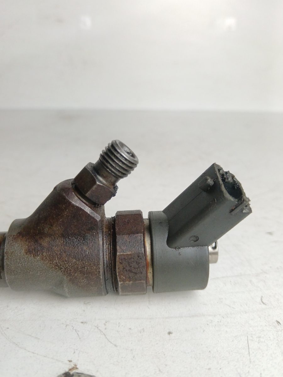 Inyector Peugeot Expert Kasten 2007-2016 Furgón L2H2 2.0L 94kW 0445110008