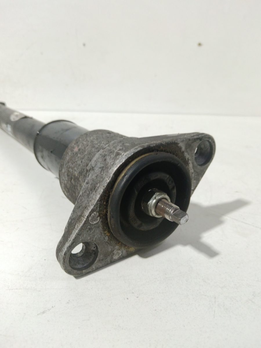 Amortiguador Trasero Der/Izq Volkswagen Passat Berlina (3B2) 1996-2000 814901556009