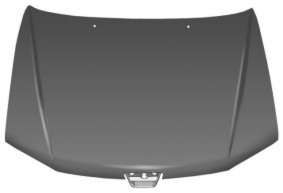Capot delantero Peugeot 306