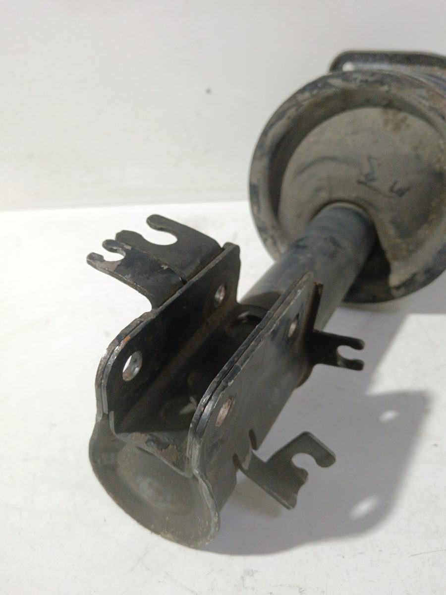 Amortiguador Delantero Izquierdo Peugeot Expert Kasten 2007-2016 Furg. 824904553846