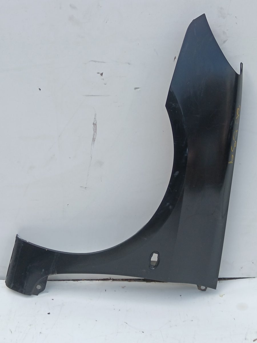 Guardabarro Delantero Izquierdo Peugeot 307 (S1) 2001-2005 XT