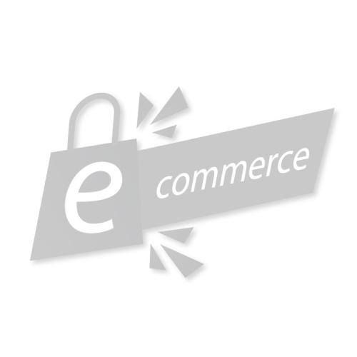 SOPORTE MOTOR BYD SEAGULL GS 300 DER.