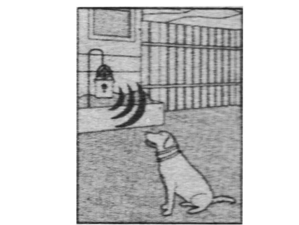 Ahuyentador de perros por ultrasonido