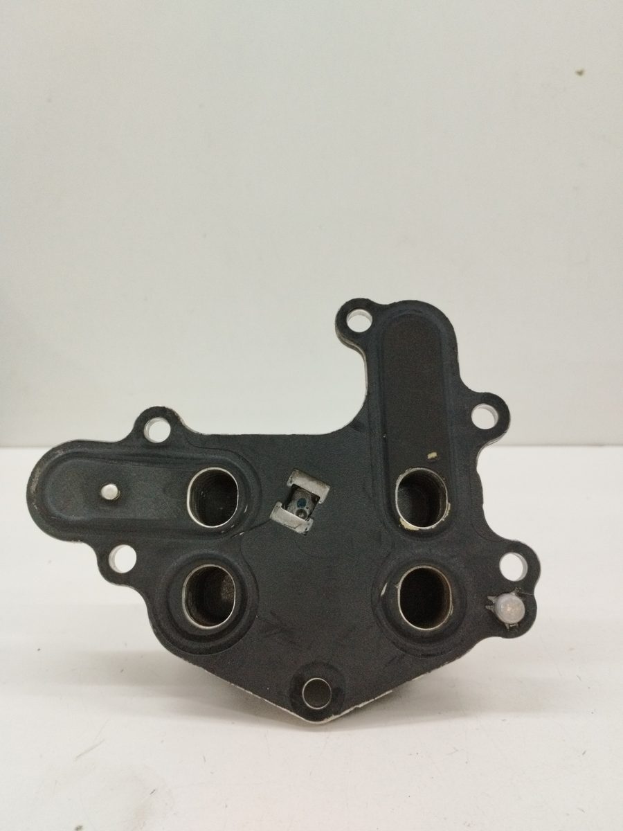 Radiador Aceite Citroën C3 2016-2023 Business 1.2L 60kW 9815697880