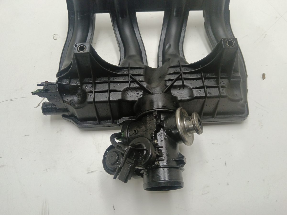 Multiple Admision Citroën Berlingo 2002-2011 2.0 HDi CAT (RHY / DW10TD) 2.0L 66kW