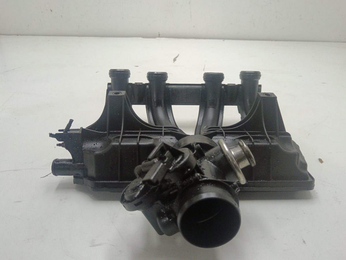 Multiple Admision Citroën Berlingo 2002-2011 2.0 HDi CAT (RHY / DW10TD) 2.0L 66kW