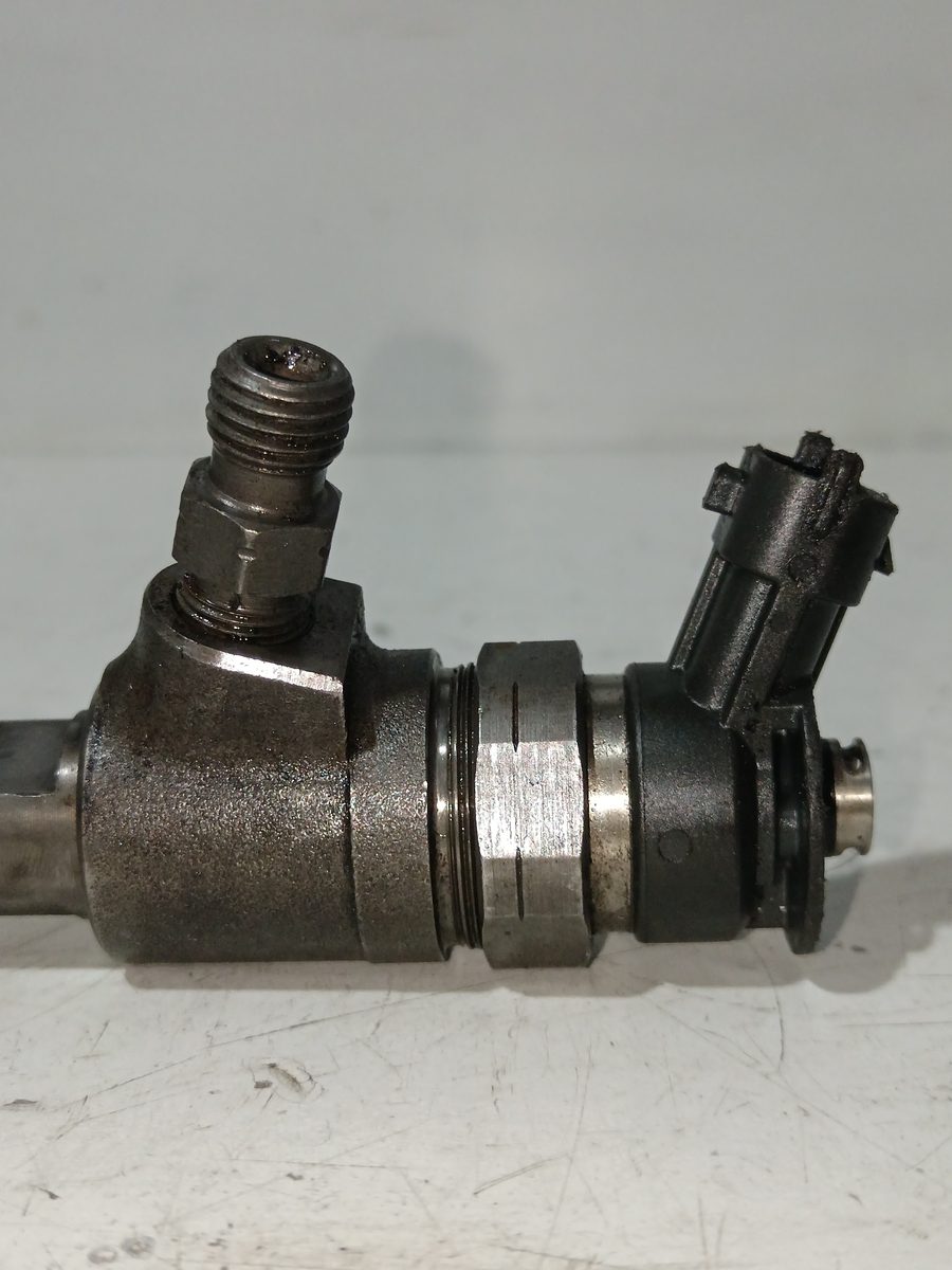 Inyector Peugeot 206 Berlina 1998-2010 1.4 HDi 1.4L 50kW 0445110135