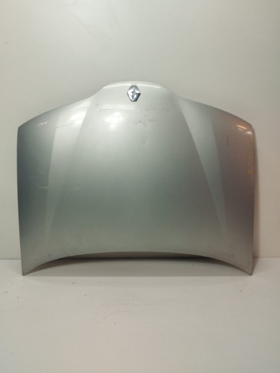 Espolon Renault Laguna Ii (BG0) 2001-2007