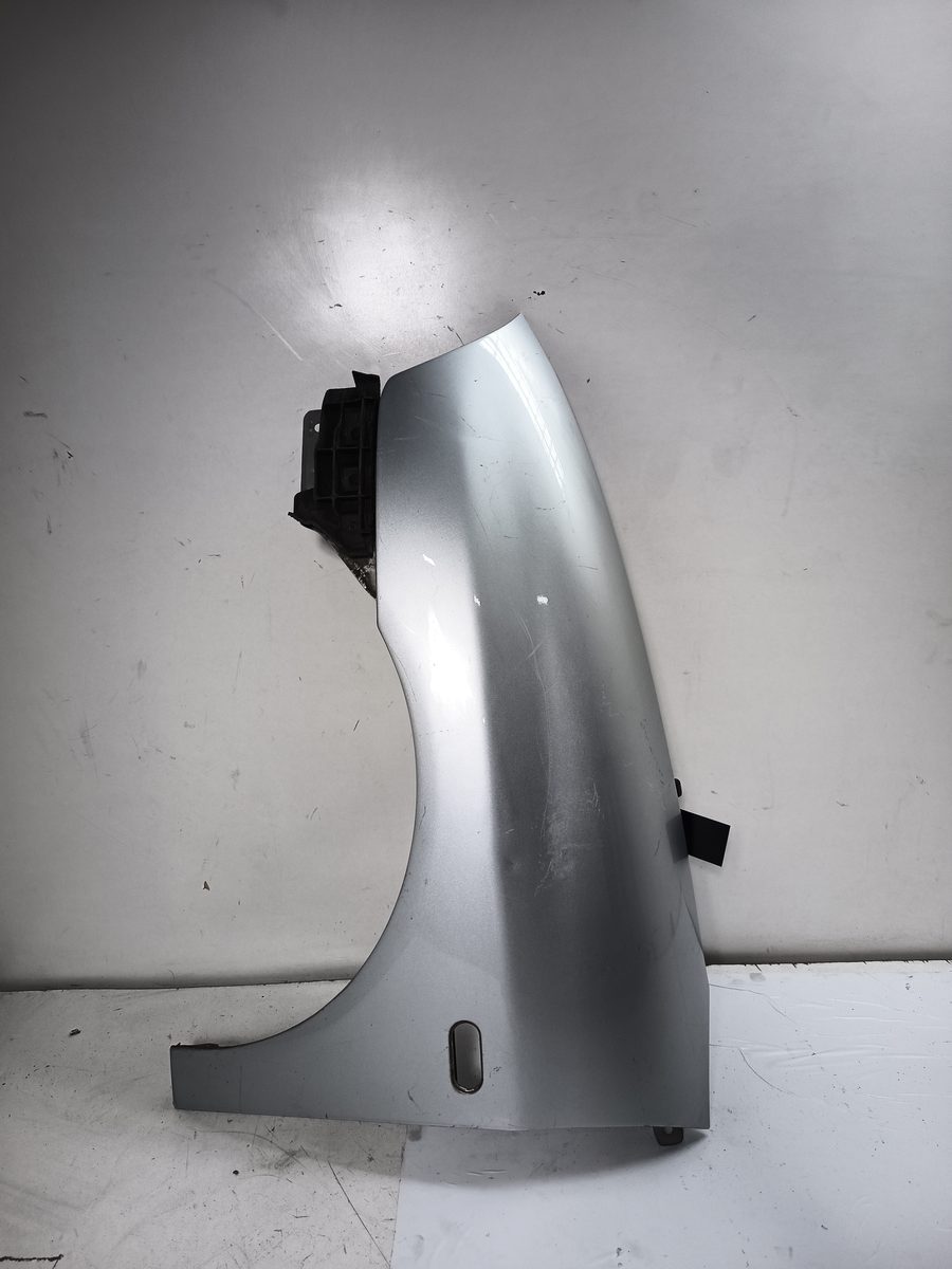 Guardabarro Delantero Izquierdo SEAT Ibiza (6L1) 2001-2009 Reference