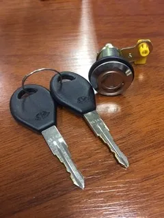 Cilindro de puerta delantero izquierdo