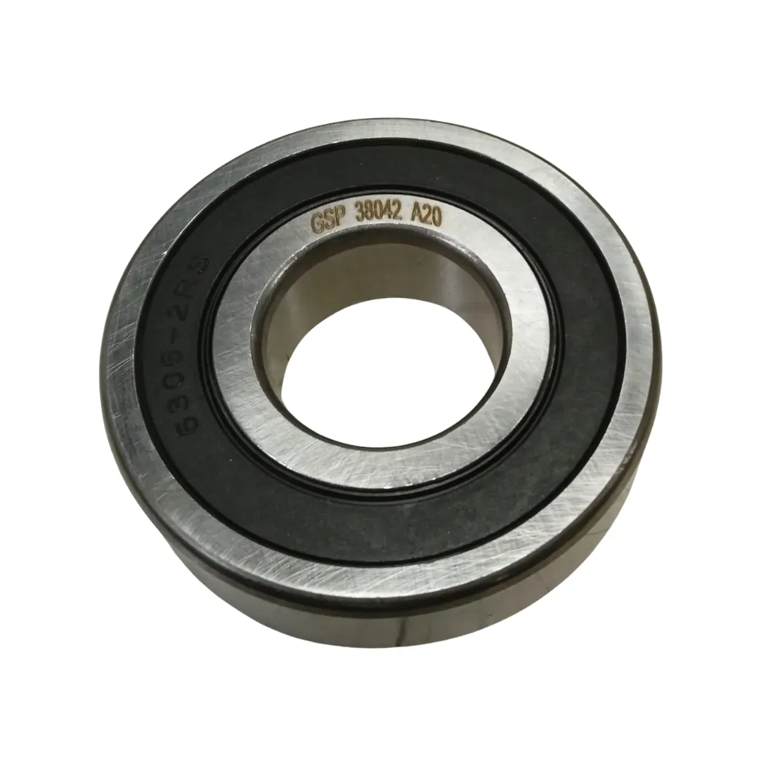 RULEMAN 6306-2RS GSP