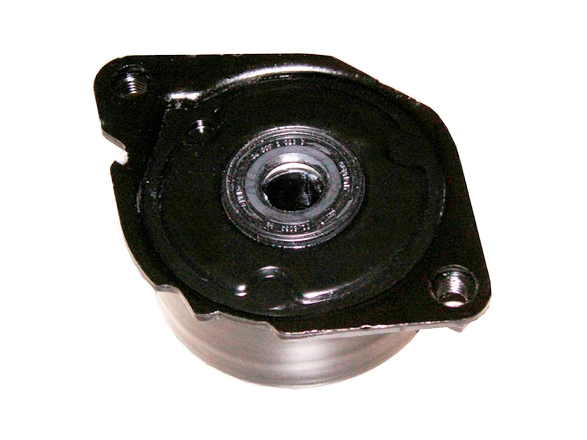 Amortiguador Del Tensor Guia Correa BMW 320D (E46) 04-05