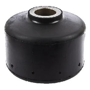 BUJE SUSPENSION NEUMATICA FS250 P/RANDON 2014>