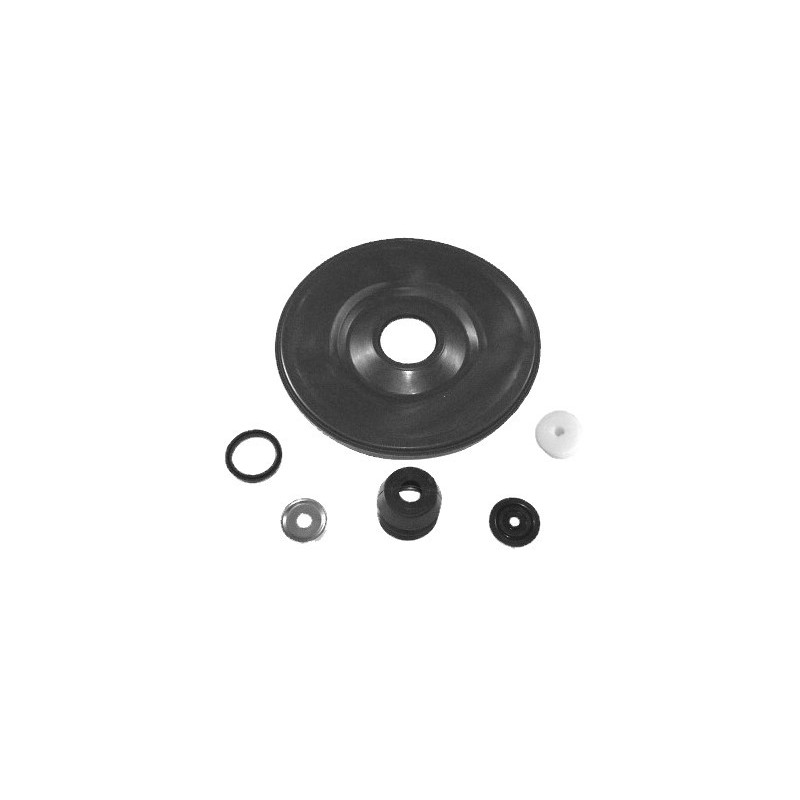 Servofreno de 9.5 pulgadas