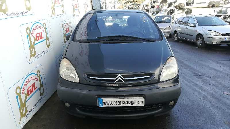 Puerta Delantera Derecha Citroën Xsara Picasso 1999-2011 SX