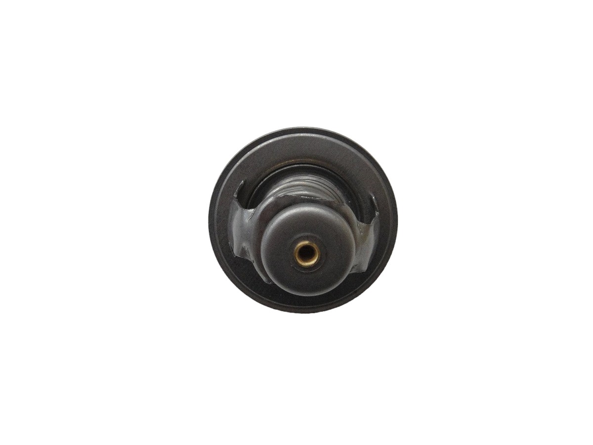 TERMOSTATO*IS 1.7DTI 16V (CORSA NOVO/MERIVA)