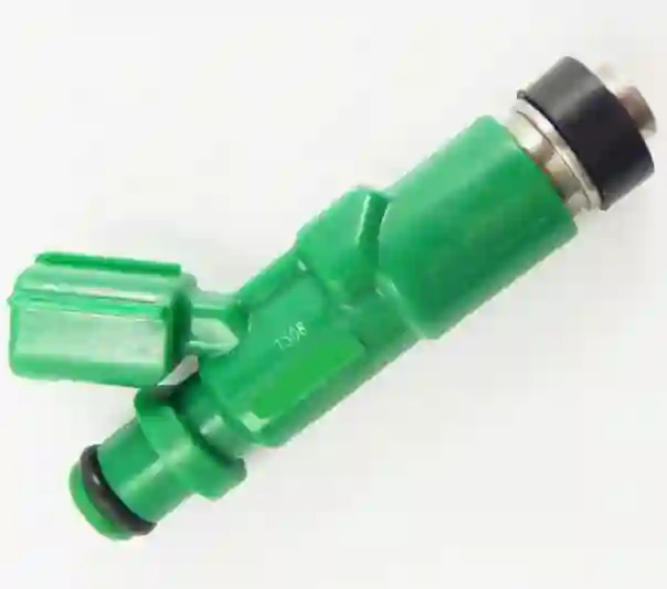 Inyector de combustible nafta