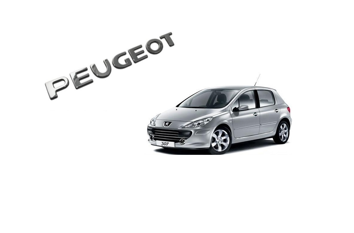 MONOGRAMA PEUGEOT 307 HOGGAR [La Nueva Imagen]