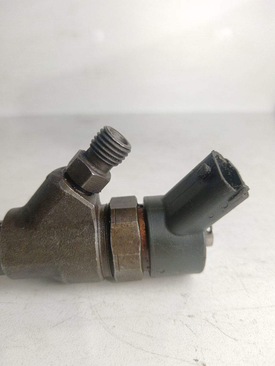 Inyector Citroën Berlingo 2002-2011 2.0 HDi CAT (RHY / DW10TD) 2.0L 66kW 0445110062