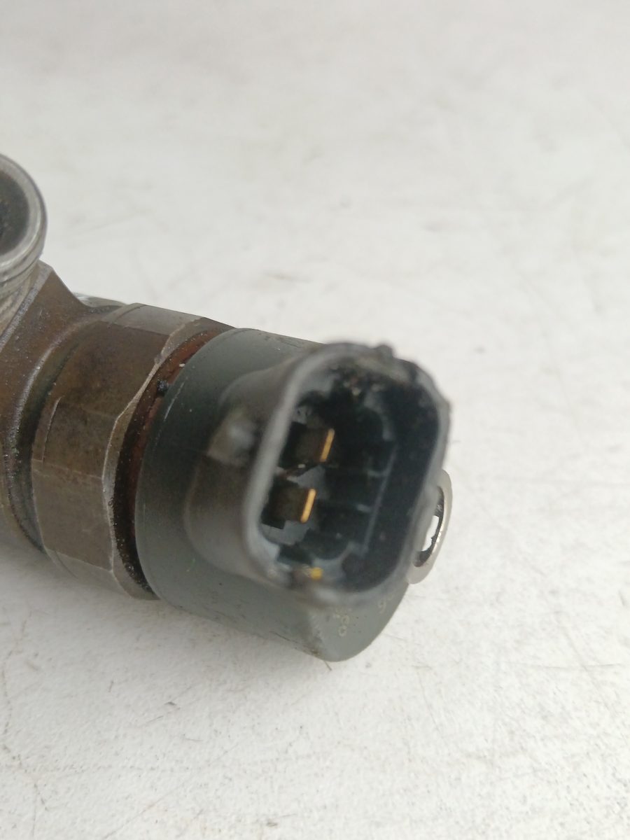 Inyector Citroën Berlingo 2002-2011 2.0 HDi CAT (RHY / DW10TD) 2.0L 66kW 0445110062