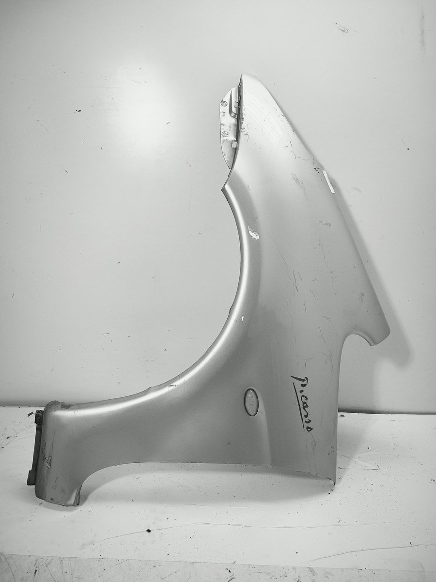Guardabarro Delantero Izquierdo Citroën Xsara Picasso 1999-2011 Exclusive
