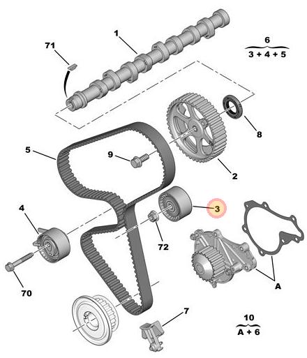 Rulemán tensor correa distribución