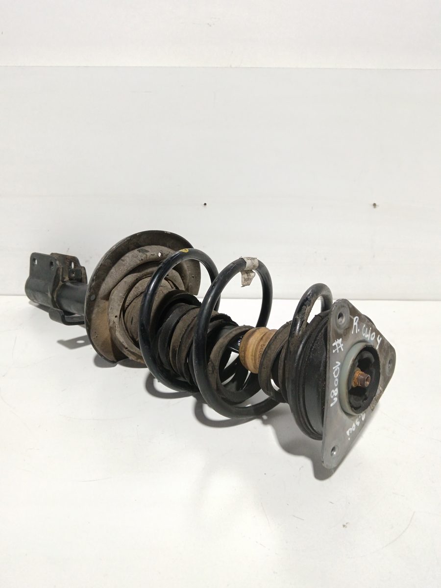 Amortiguador Delantero Der/Izq Renault Clio IV desde 2012 Limited 543020808R