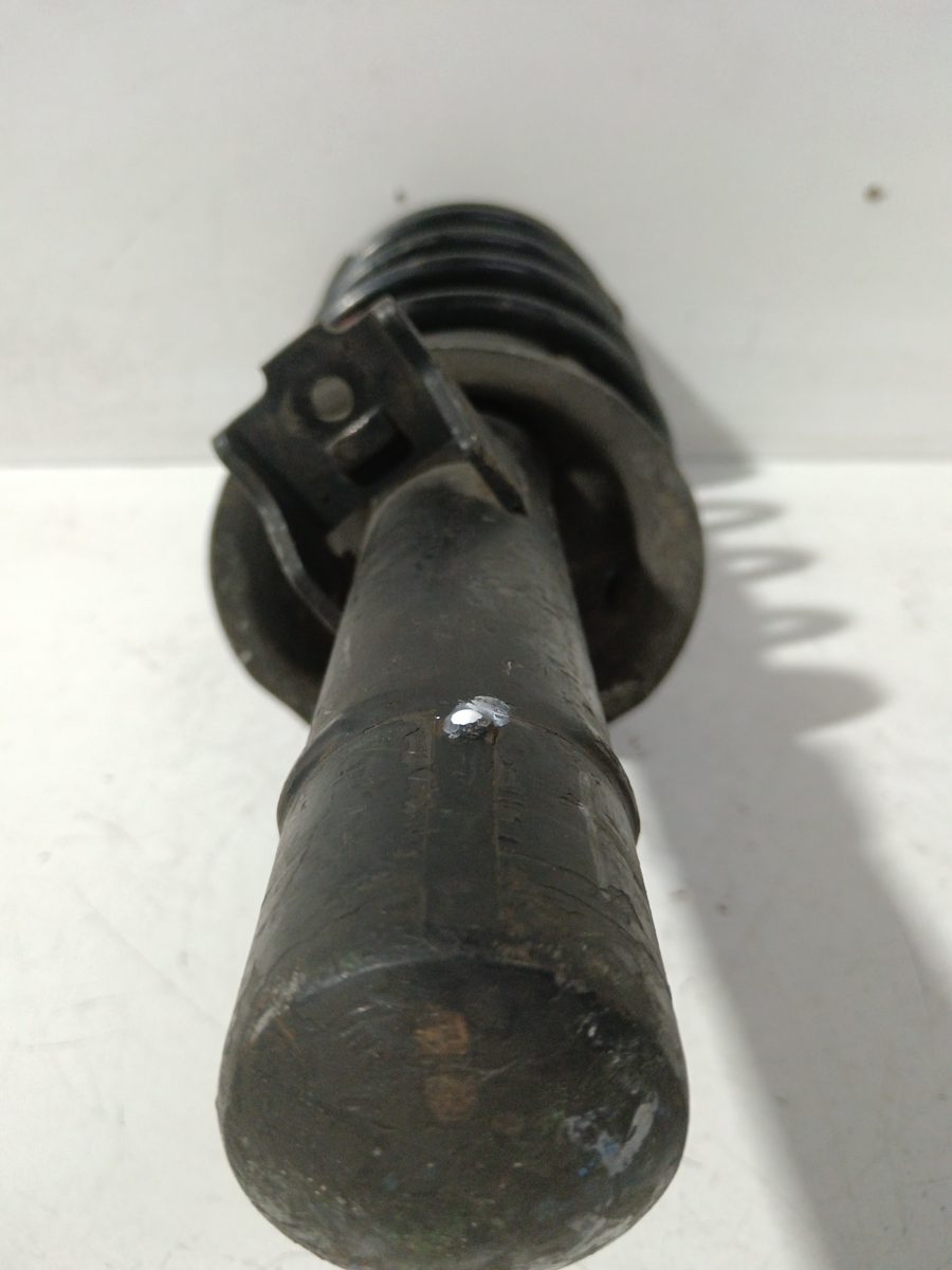 Amortiguador Delantero Izquierdo Citroën Xsara Berlina 1997-2005 421789021