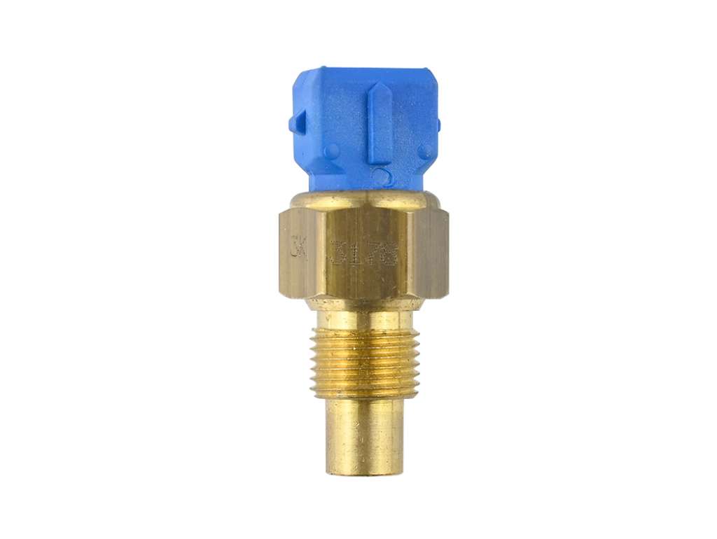 BULBO TEMPERATURA CI /PE DUPLEX 120Ø AZUL