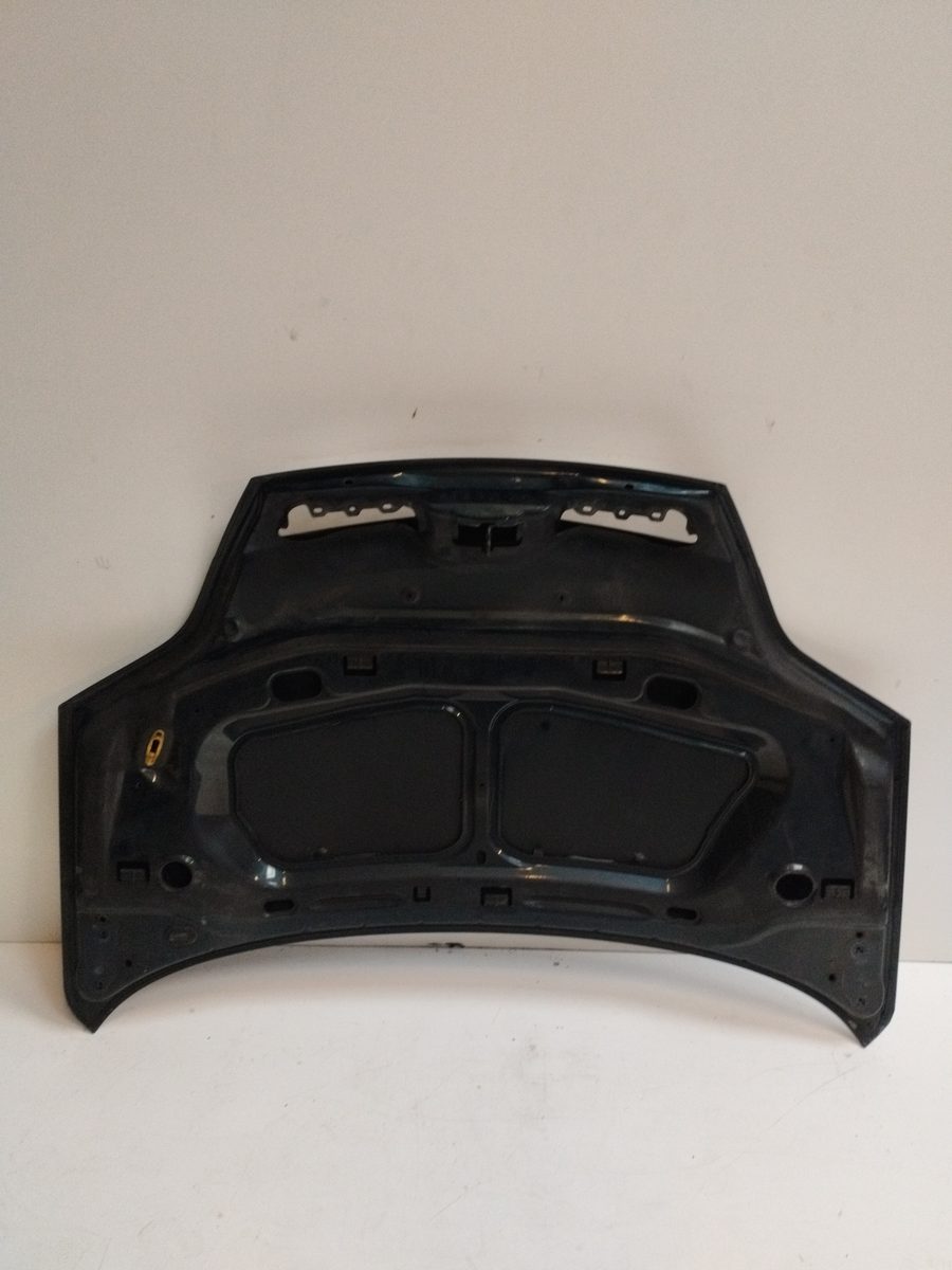 Espolon Renault Scenic (JA..) 1999-2003 Expression
