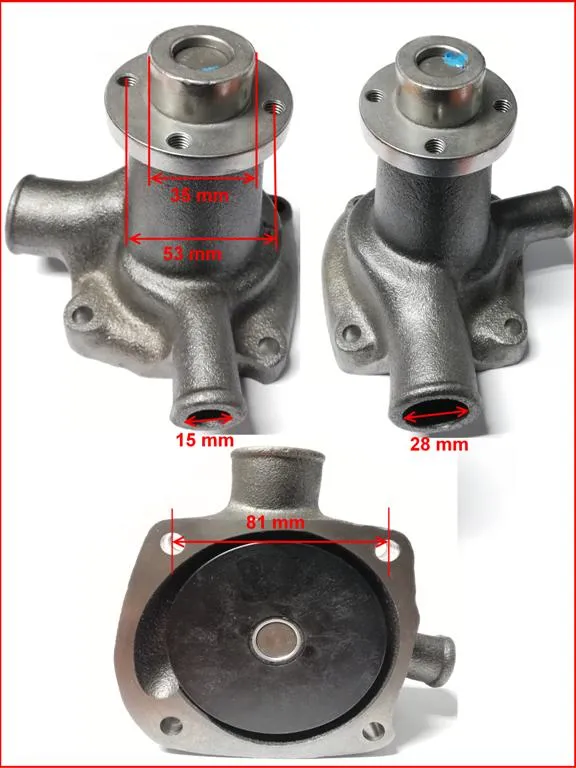 BOMBA AGUA FORD F1000 MOTORES MWM BREME