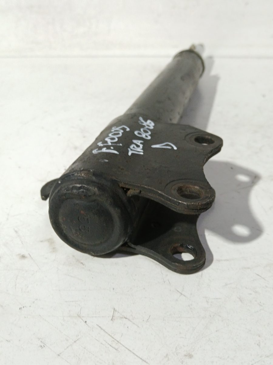 Amortiguador Trasero Derecho Ford Escort Berl./turn./cab./express 84AB18K076CA