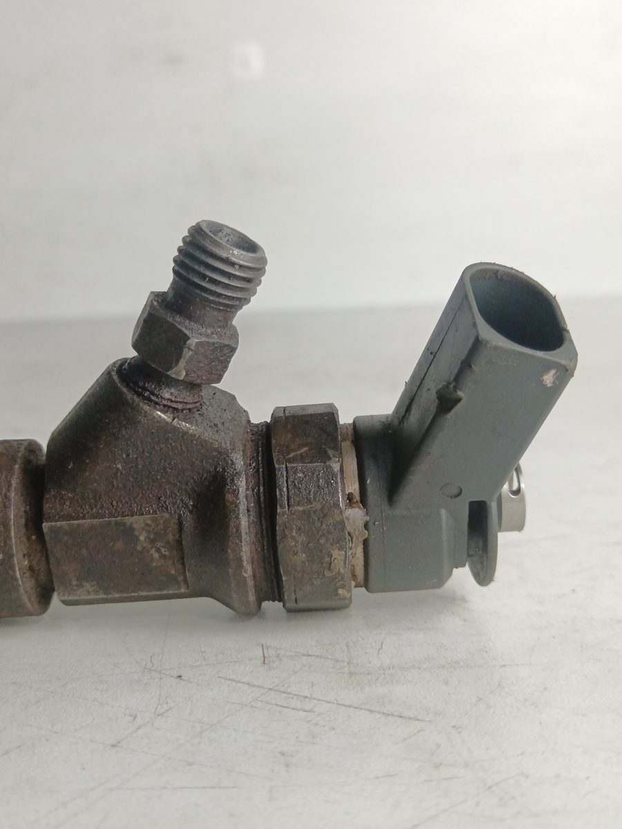 Inyector BMW X5 (E53) 2000-2007 3.0 24V Turbodiesel CAT 3.0L 135kW 0445110209