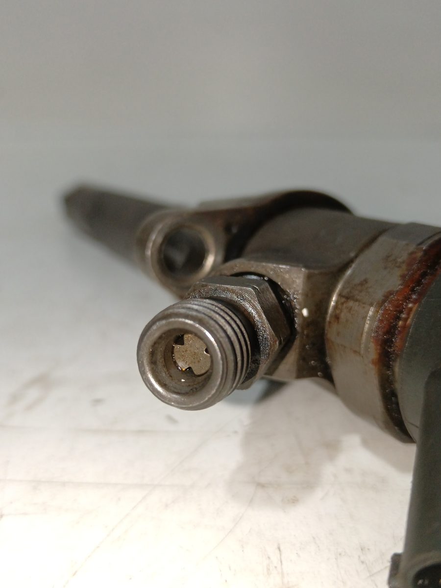Inyector Citroën C3 1995-2010 1.6 16V HDi 1.6L 66kW 0445110259