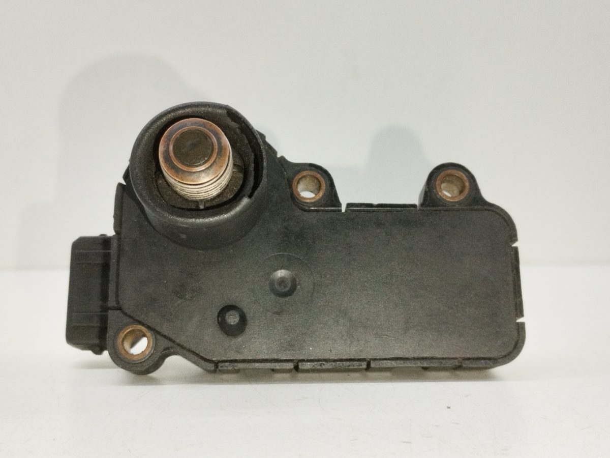 Valvula Ralenti Renault Scenic (JA..) 1999-2003 1.9 dCi Authentique 1.9L 59kW 0132008600