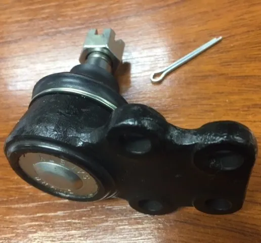 Rótula inferior