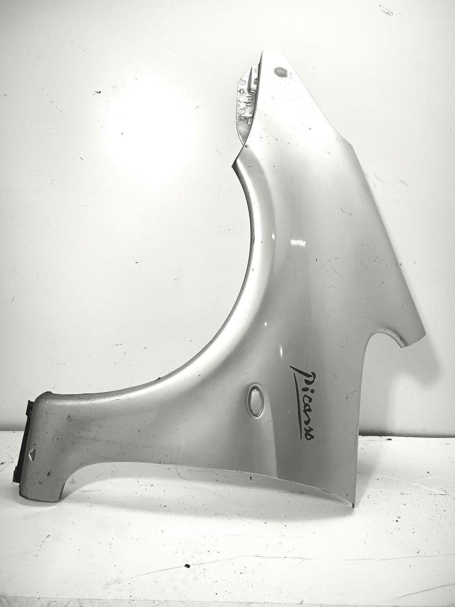 Guardabarro Delantero Izquierdo Citroën Xsara Picasso 1999-2011 Exclusive