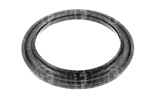 GRAPODINA AMORTIGUADOR