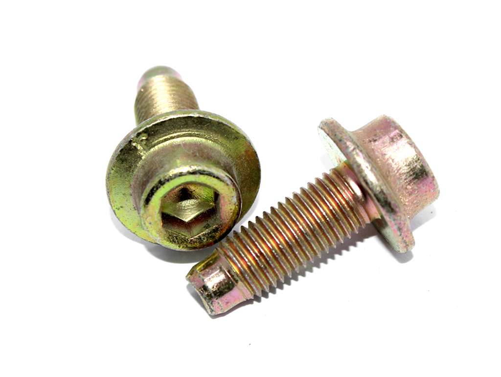 Tornillo de puerta