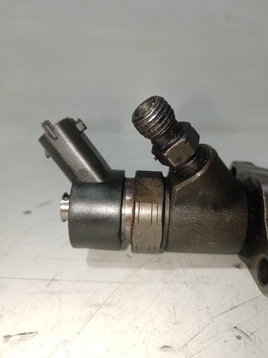 Inyector Citroën C3 1995-2010 1.6 16V HDi 1.6L 66kW 0445110239