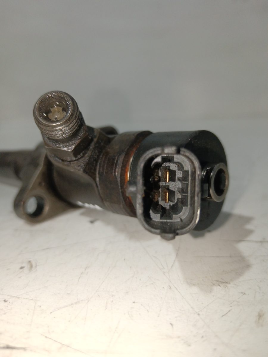 Inyector Citroën C3 1995-2010 1.6 16V HDi 1.6L 66kW 0445110239